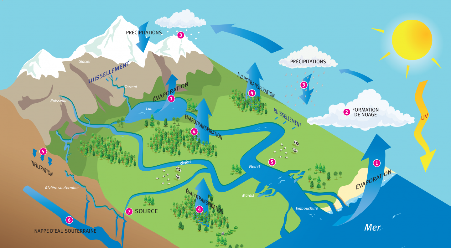 Découvrez le cycle de l'eau | Compagnie des Eaux de Royan