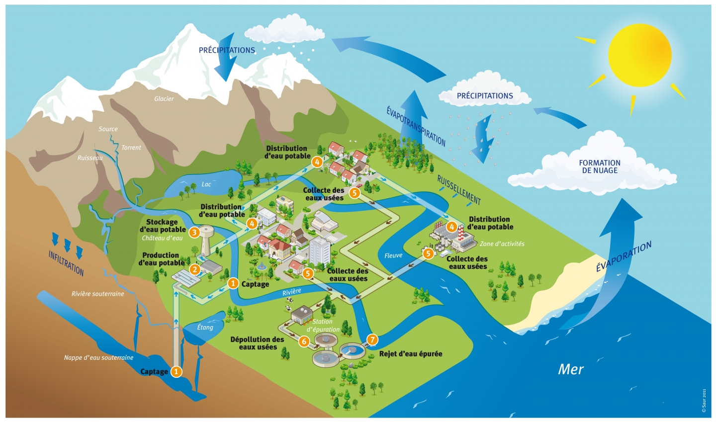 Découvrez Le Cycle De L'eau | Compagnie Des Eaux De Royan