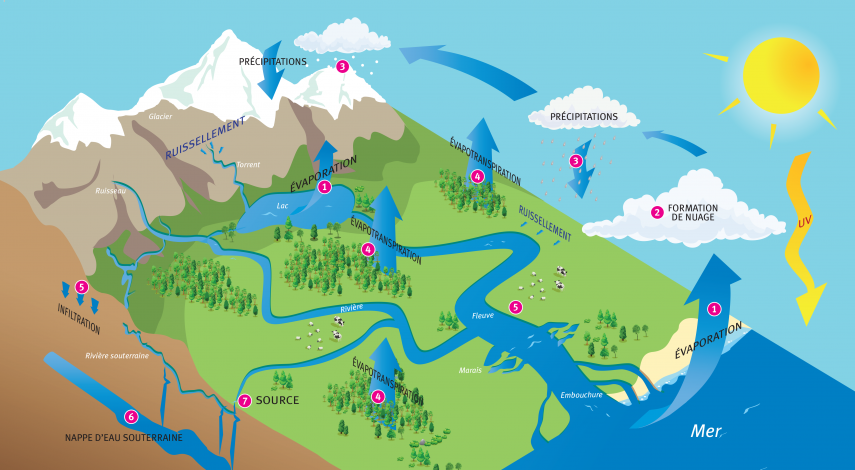 Découvrez le cycle de l'eau | SEPRA